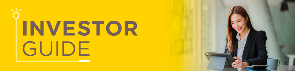 investor guide